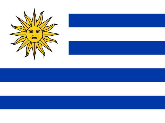 uy flag
