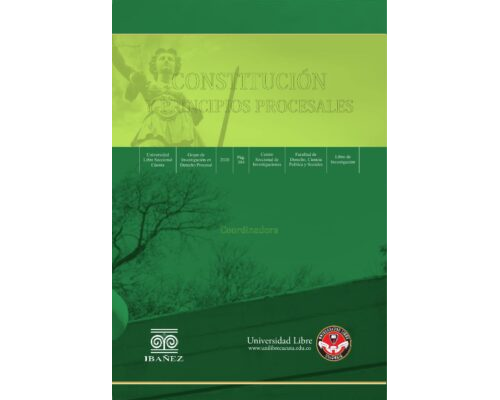Constitución y principios procesales – Débora Guerra Moreno