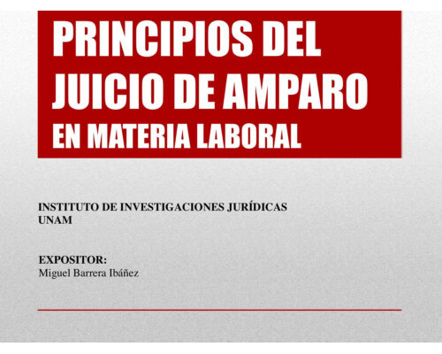 Principios del juicio de amparo – Miguel Barrera Ibáñez