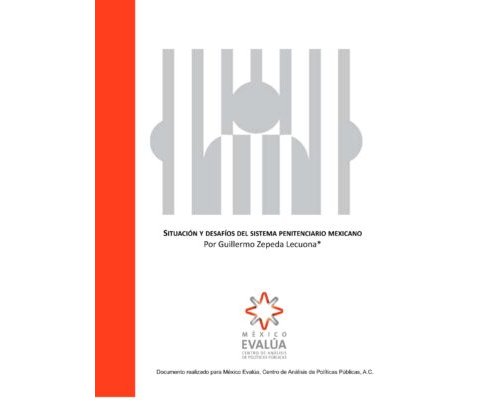 Situación y desafíos del sistema penitenciario mexicano – Guillermo Zepeda Lecuona