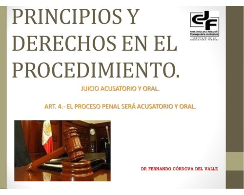 Principios y derechos en el procedimiento – Fernando Córdoba del Valle